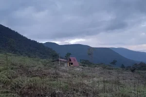 En proyecto | Vivienda Ecológica en Oxapampa
